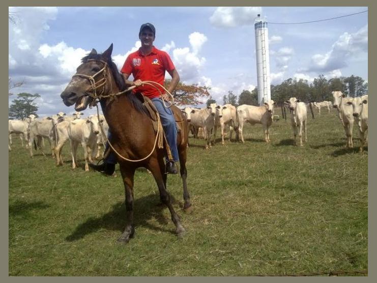 Evandro Diamant